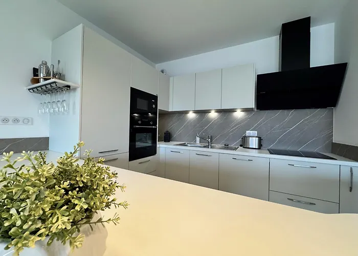 225, Coral à La De La Conque *